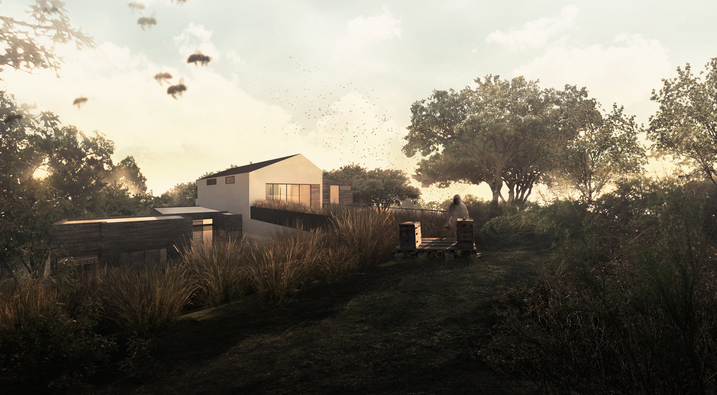 matt+fajkus+mf+architecture+descendant+house+rendering+rear